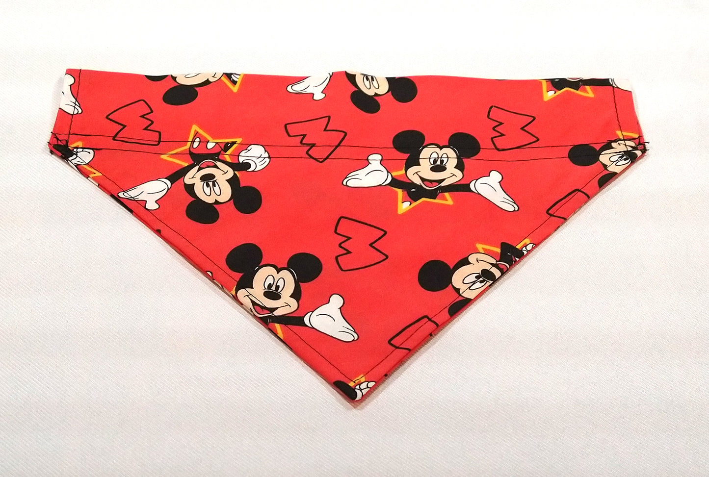 Mickey Mouse Dog
