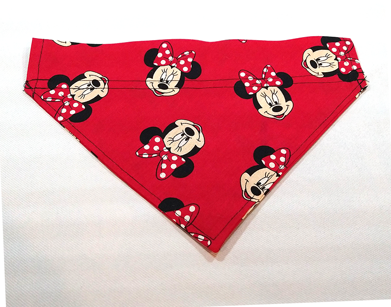 Minnie Mouse Pet
